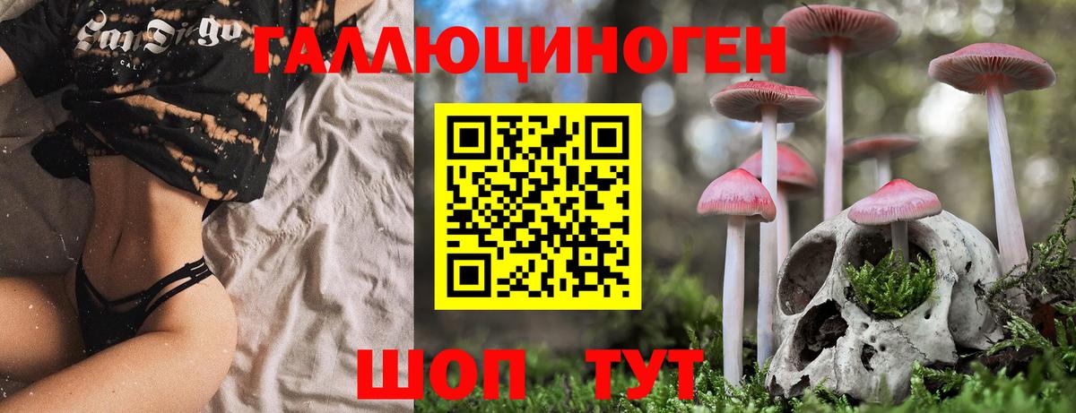Псилоцибиновые грибы MAGIC MUSHROOMS  Псилоцибиновые грибы ЛСД  Вход с VPN  Майкоп 