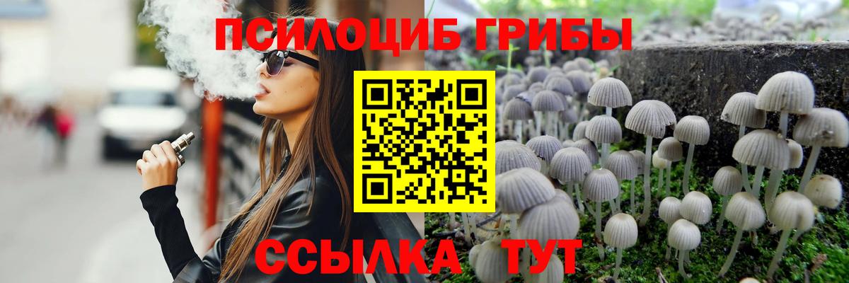 Галлюциногенные грибы Magic Shrooms Майкоп